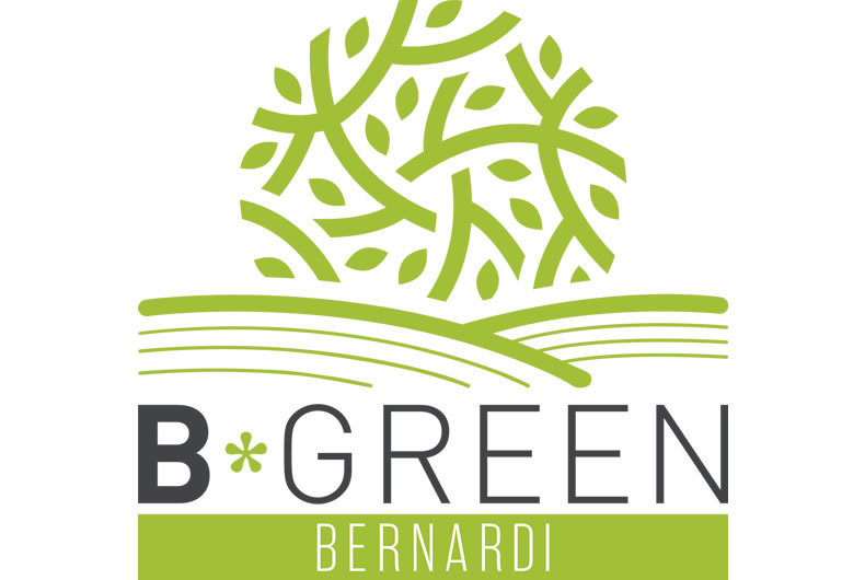 bernardi logo b green