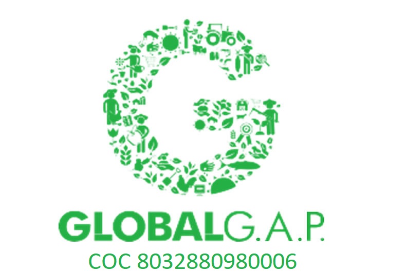logo-certificazione-global-gap